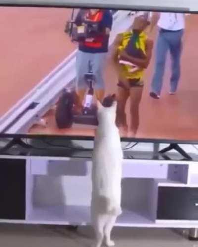 Hey you there! F*** you!