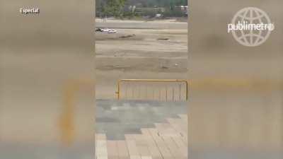 Cuando cogen entre primos, hay riesgo de que salgan hijos así de pendejos