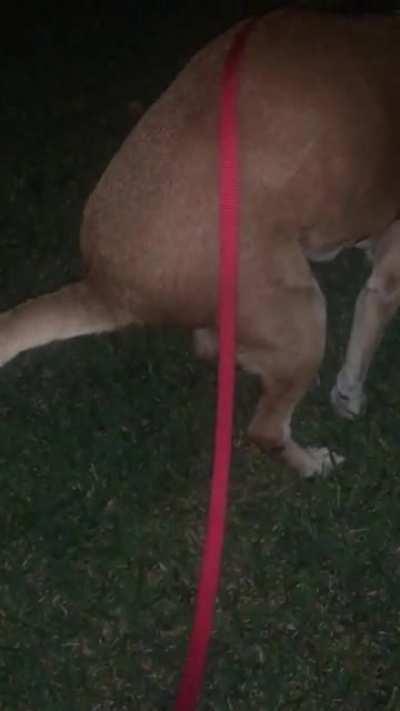 You can hear the moment he struck oil