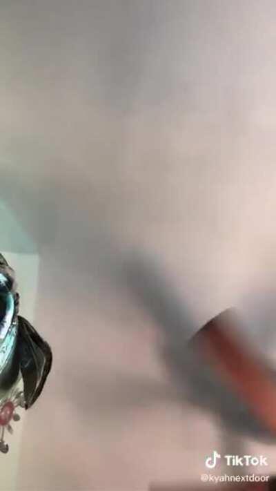 Things got heated (sound on 🔊)