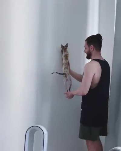 I thought it was a bug, hooman