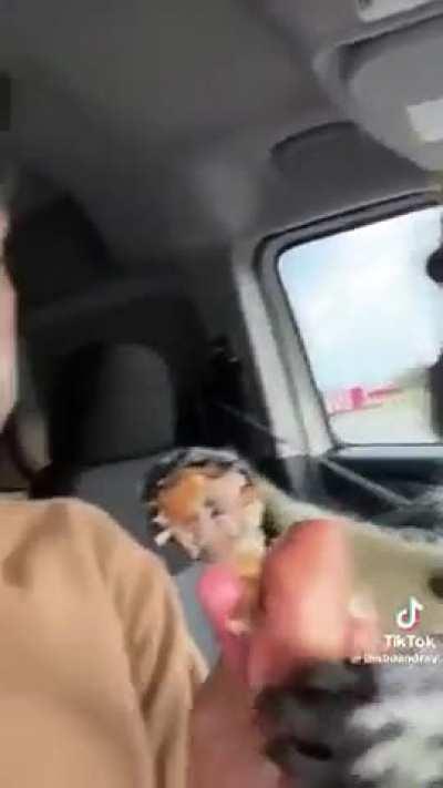 That chicken wing from KFC looks pretty good. 🤤🍗  