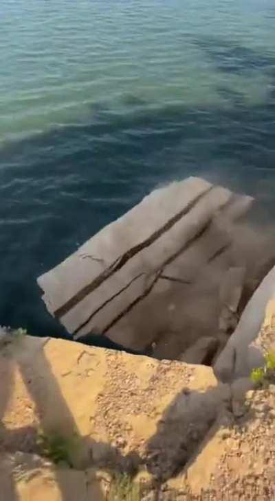 Primal instinct noises