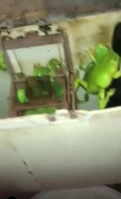 Gonna shit real quick