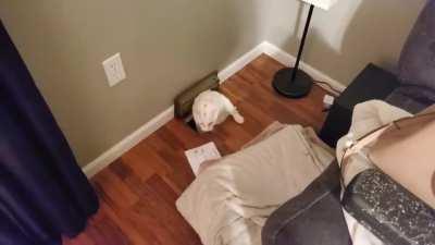 VI O BRANCO VENTANDO CHAT