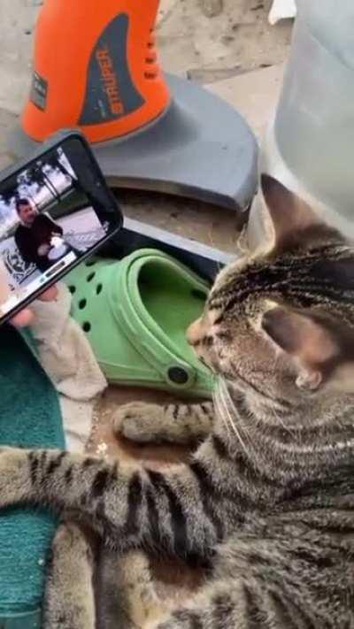 This producer is enjoying a partner work