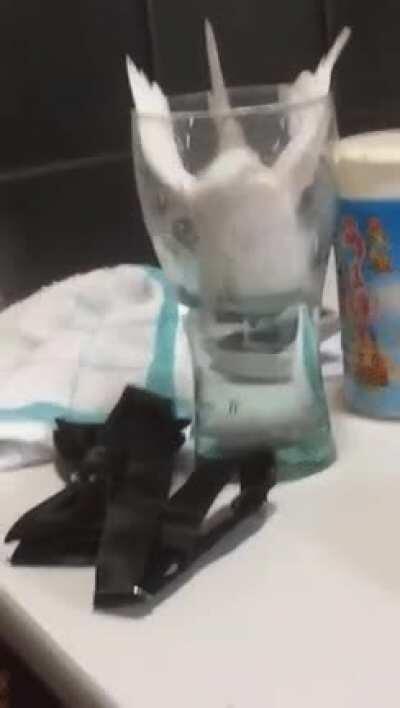 Just gonna take a quick sip