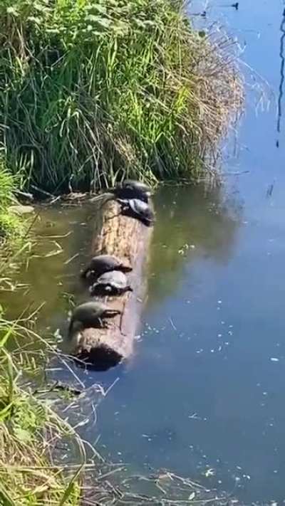 You always have to be careful with your own
