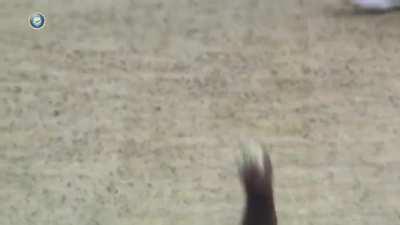 I've seen this one somewhere