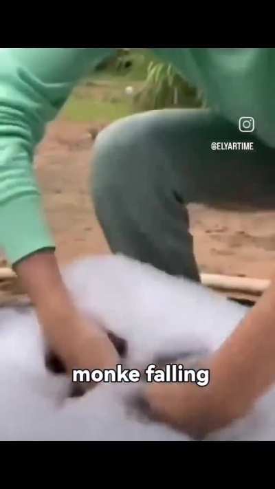 Poor monkey