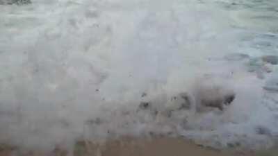 I think they got the perfect shot