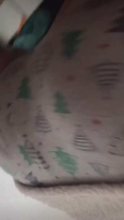 very lady like right? fart