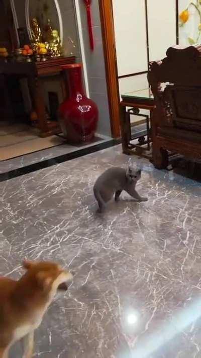 Nobody expects ... that.