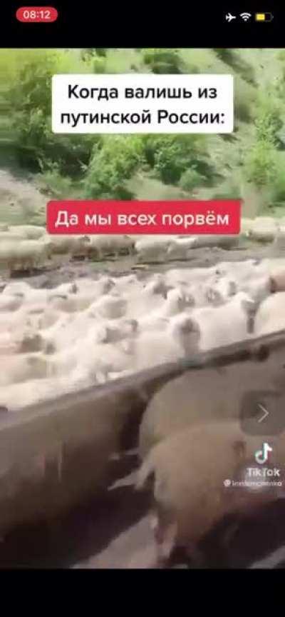 when you’ve left Z russia😁