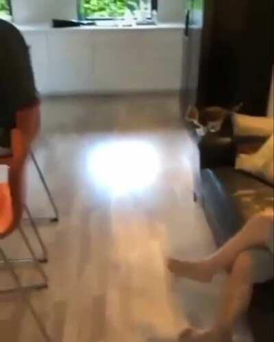 Perfectly catculated