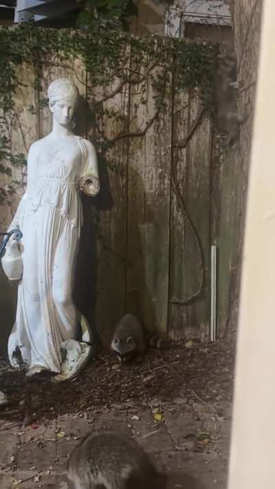 New Trash Beans + Food Questions