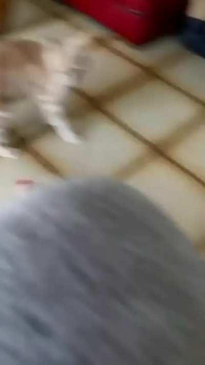 Protect at all costs