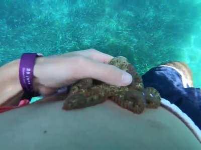 Little friend needs attention