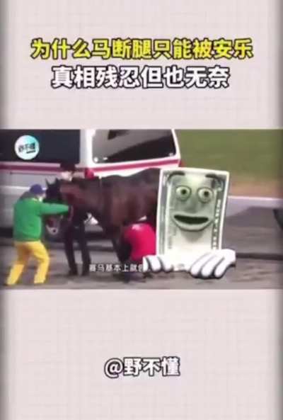 你的马腿断了你的马腿断了… 一美元钞票 voice of radio free neruda 🗣️🗣️🗣️