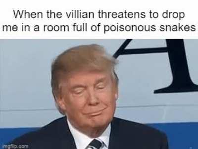 Ruleoom of snakes