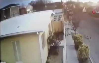 Стая птиц разбивается о землю в Мексике