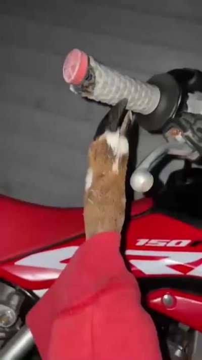 Something is wrong with my bike