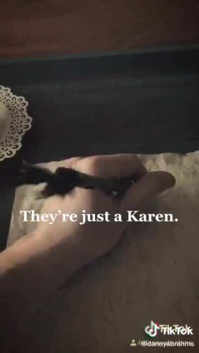 If Gen Z fought in The Civil War