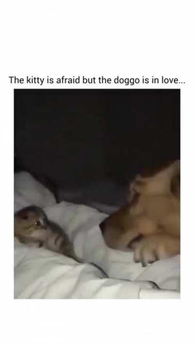 Unconditional bonding