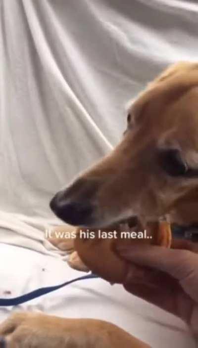 This legit made me cry