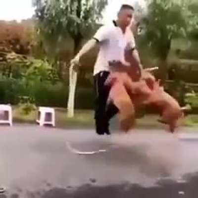 Jumping Rope with Good Bois