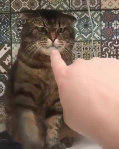 What the heck ya doing?