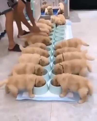 It's time to have meal 😊