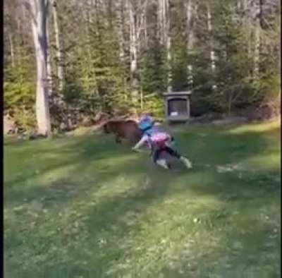 Go, make me topple over. Good doggy …