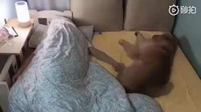 Doesn’t matter how big the bed is, the problem will be the same.