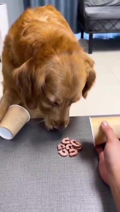 I changed my mind...Gimme this one..