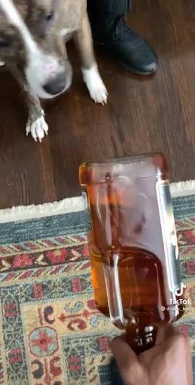 Good girl blesses the bottle!