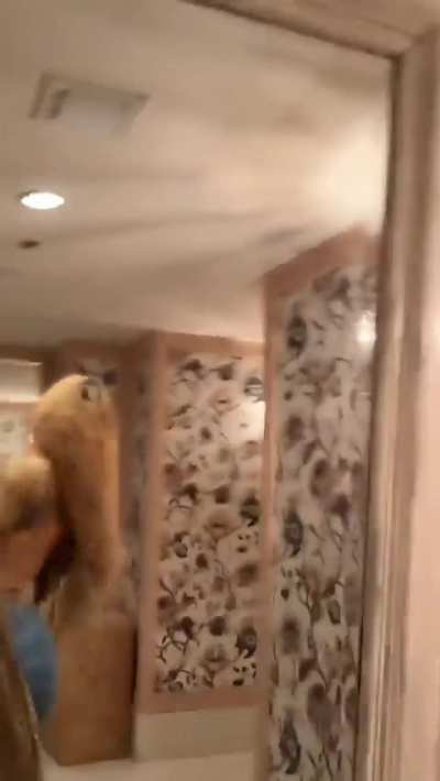 Shenseea 🐆 | Snapchat (5.2.26)