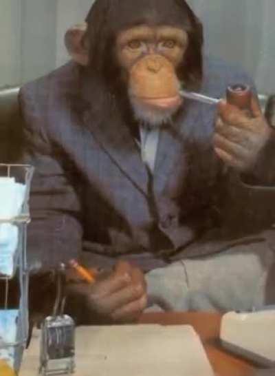 You must try the bananas darling. They simply are dashing.