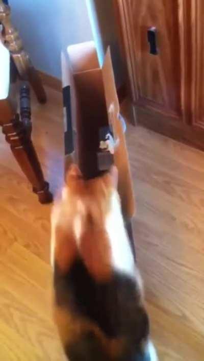 If he don't fit, he's stuck.