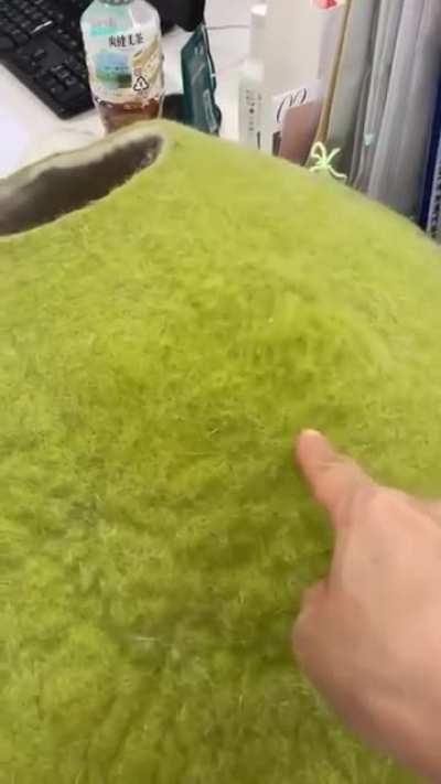 Cat Comes Out of Cave Bed Soon as Woman Presses It From Outside