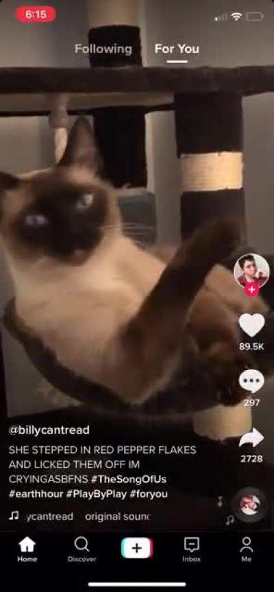 My Dad’s favorite Tiktoks: pt 2