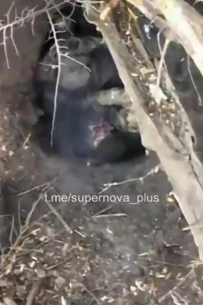 Drone drops Grenade on Russian soldier, Russia-Ukraine war 2022