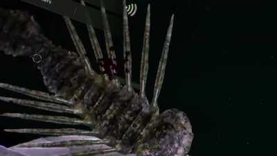 I shouldn't have picked this fight