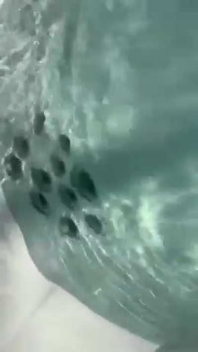 Weak Pump/Jets after leaf incident