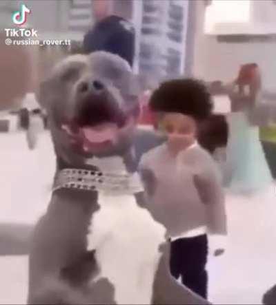 The cupcake incident 