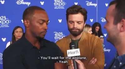 Anthony Mackie and Sebastian Stans thoughts on Spider-Man : No way home
