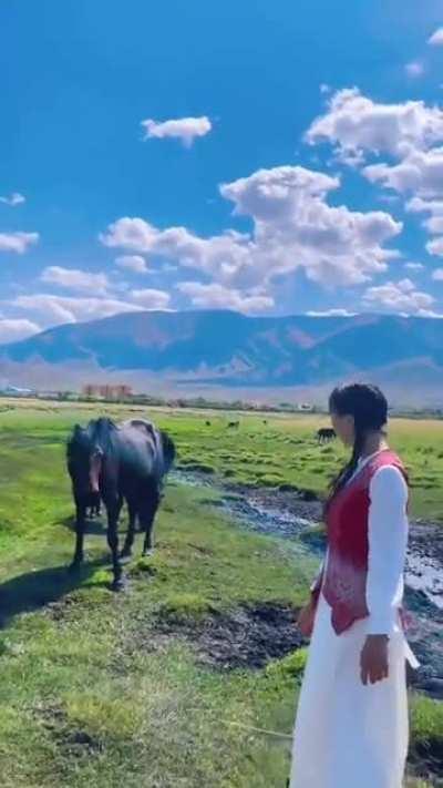 Horse enjoying a good beat