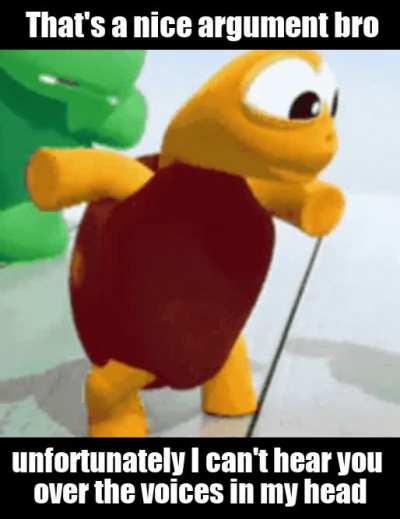 Outer voices detected, opinion rejected