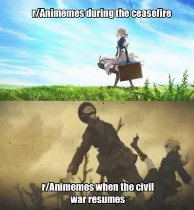 Economy Law: Total Mobilization