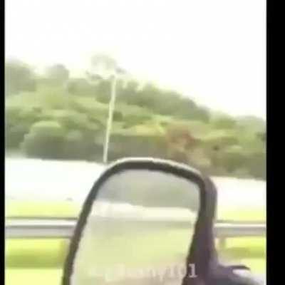 Isso é uma obra prima